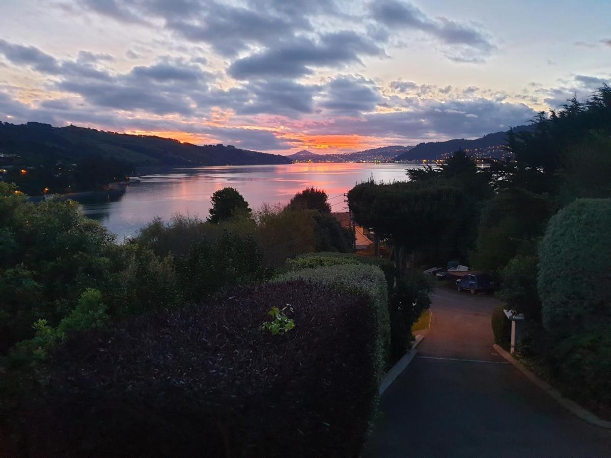 Tui2 Macandrew Bay 더니든 외부 사진